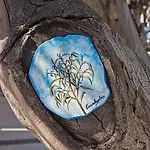 Hotel Eucalyptus 2*